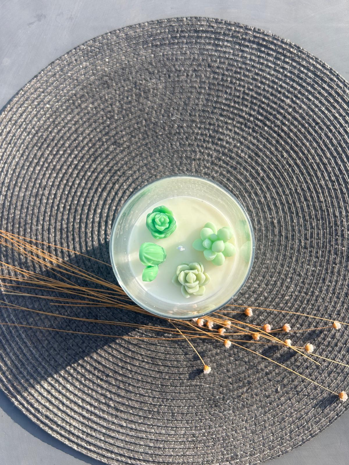 Oasis