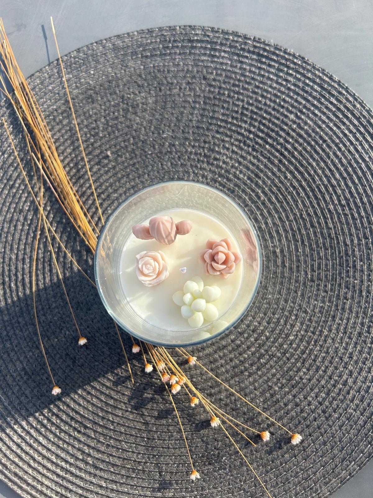 Oasis